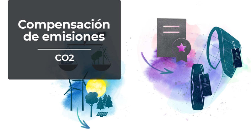La compensación de emisiones de CO2 de Duotone | ¿Qué es y como funciona?