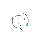 North Line Winder Bungee set of 2 2025