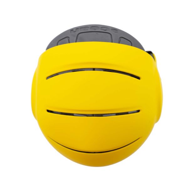 Ocean Dolphin Casco