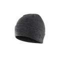 ION Beanie Logo 2024