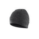 ION Beanie Logo 2024