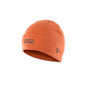 ION Beanie Logo 2024