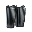 ION Shin Protector 2024