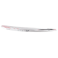 ION Rail Lover 2024