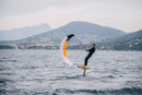 Ozone Pocket Rocket Parawing