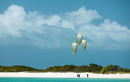 Três kites Duotone numa praia tropical de areia branca numa sessão com fixações Entity Ergo 2026
