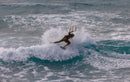 Rider envoyant une gerbe d'eau dans un virage sur la vague avec le Duotone Neo 2026
