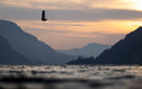 Backlit rider jumping with the Duotone Rebel D/LAB 2026 kite in the Columbia River Gorge at sunset