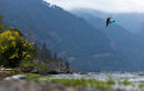 Rider jumping near the shore with the Duotone Rebel D/LAB 2026 kite in a mountain valley