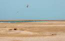 Rider che salta sopra una spiaggia desertica accanto a una laguna con il kite Duotone Rebel SLS 2026 (versione colorata)